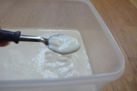 greek yogurt step 10